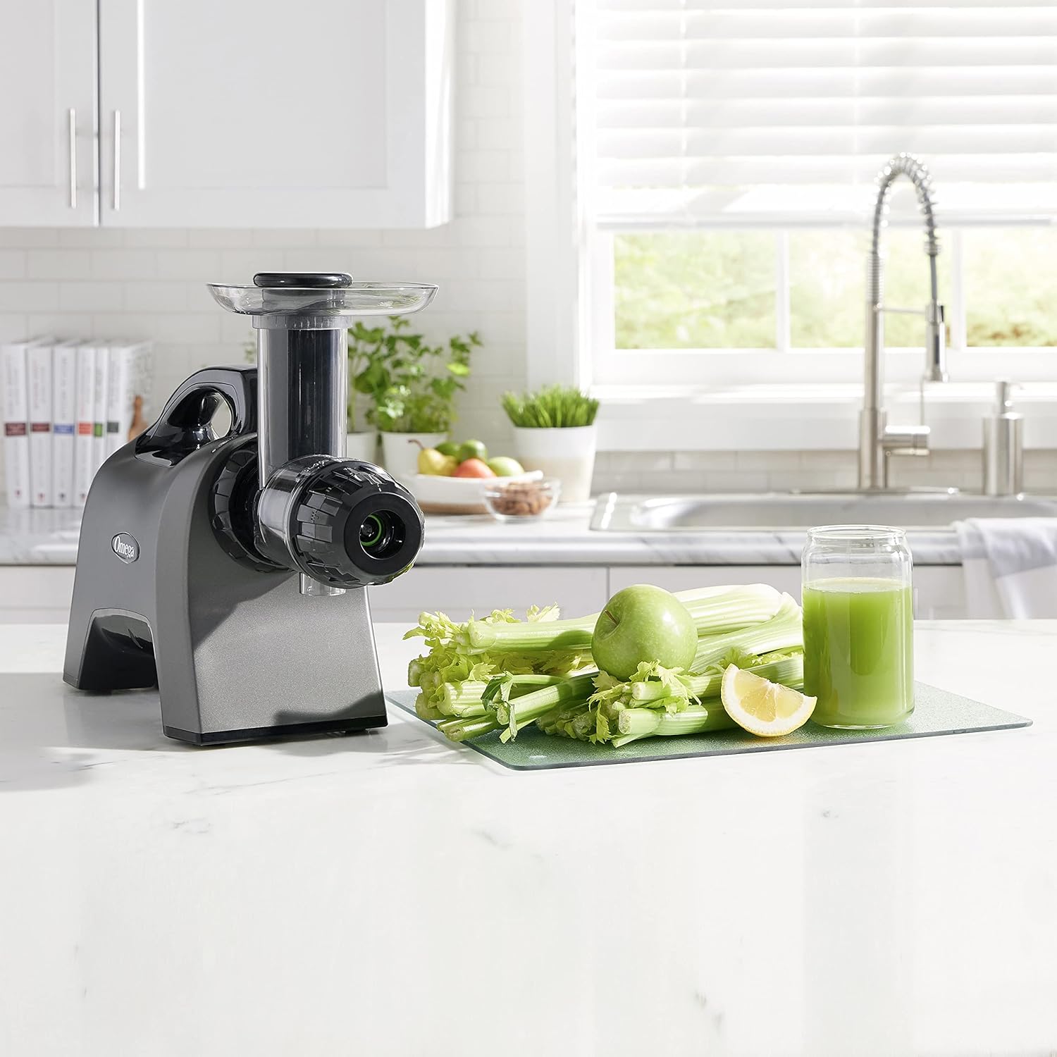 Omega Juicer Grey