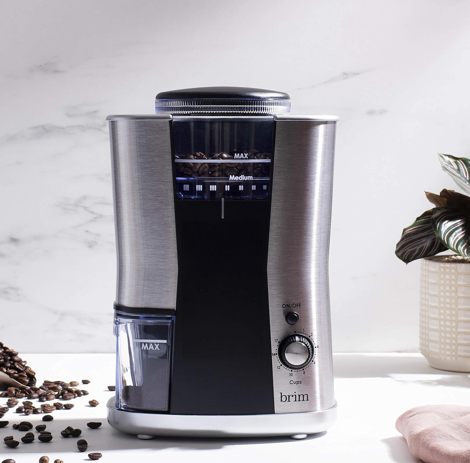 Conical Burr Coffee Grinder